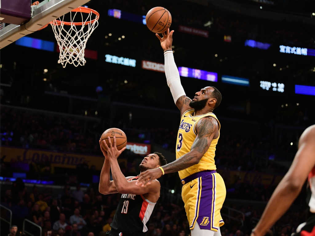 住了形势 住了形势